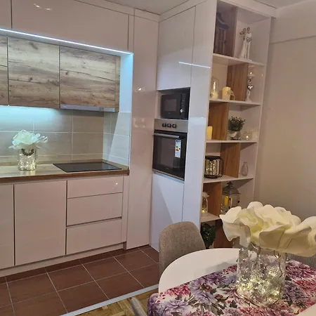 Ozy Apartment Kraljevo